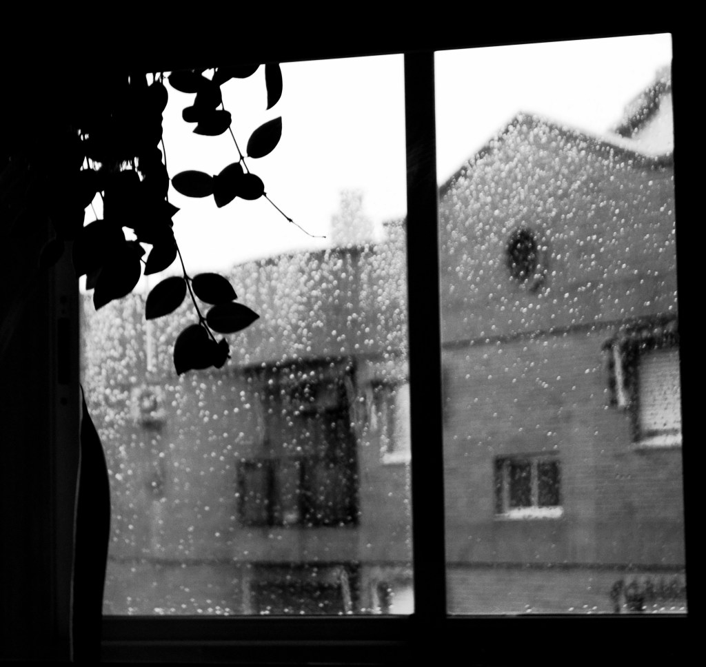 Contándote a ti no habrá nadie en la tierra que sea tú.