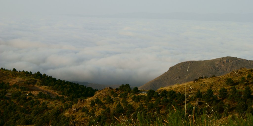 El suelo se&nbsp;hunde