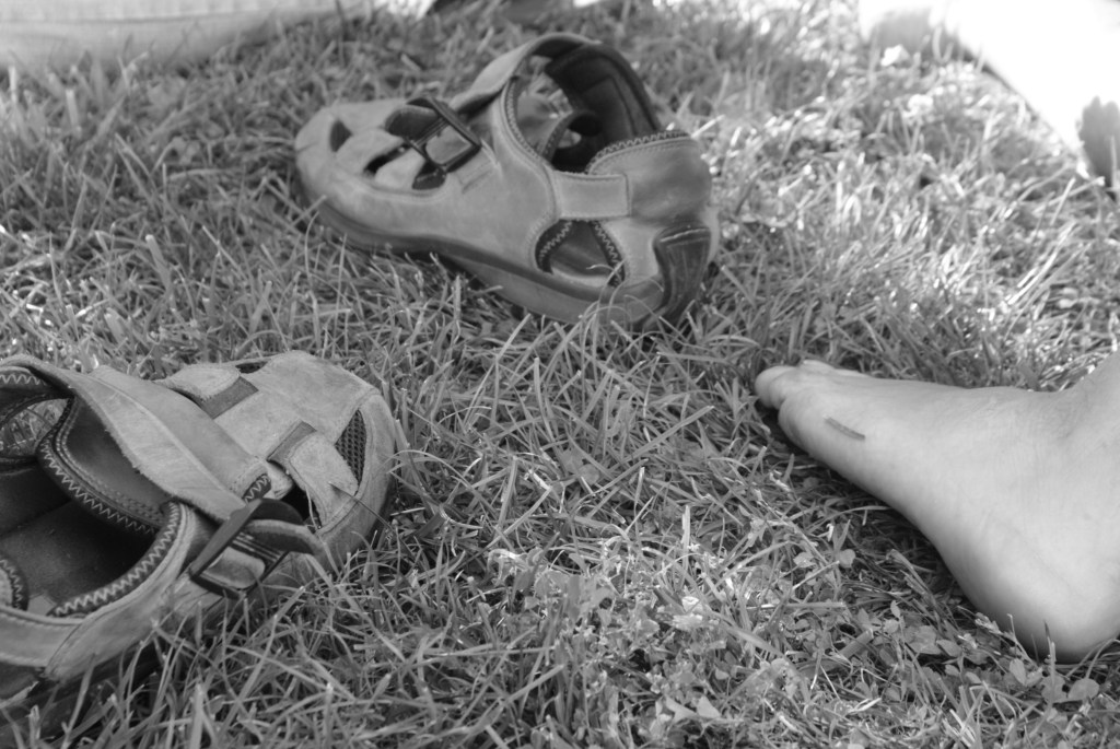 El estatus del estado absoluto o de cómo me perdí en el&nbsp;Serengueti