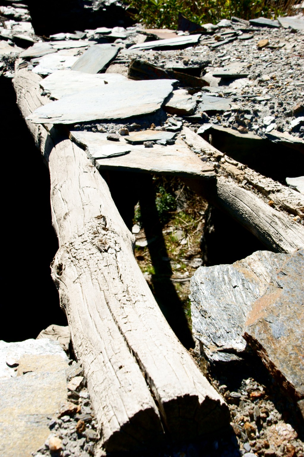 Pesadilla en primavera