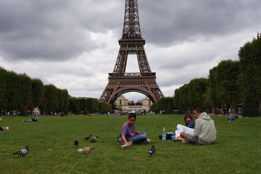 Francia no eligió,&nbsp;descartó.