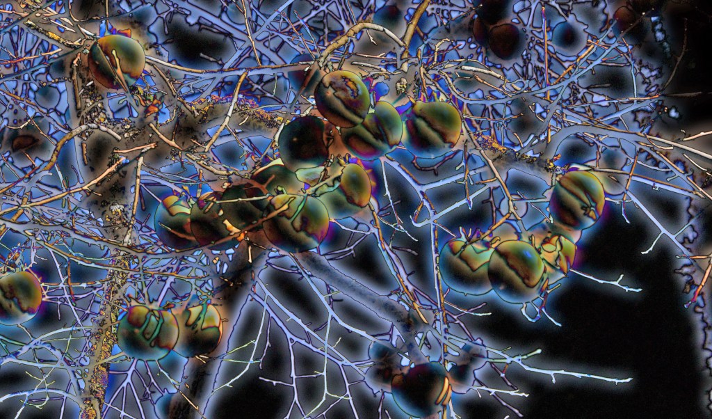 El público de la sala&nbsp;negra