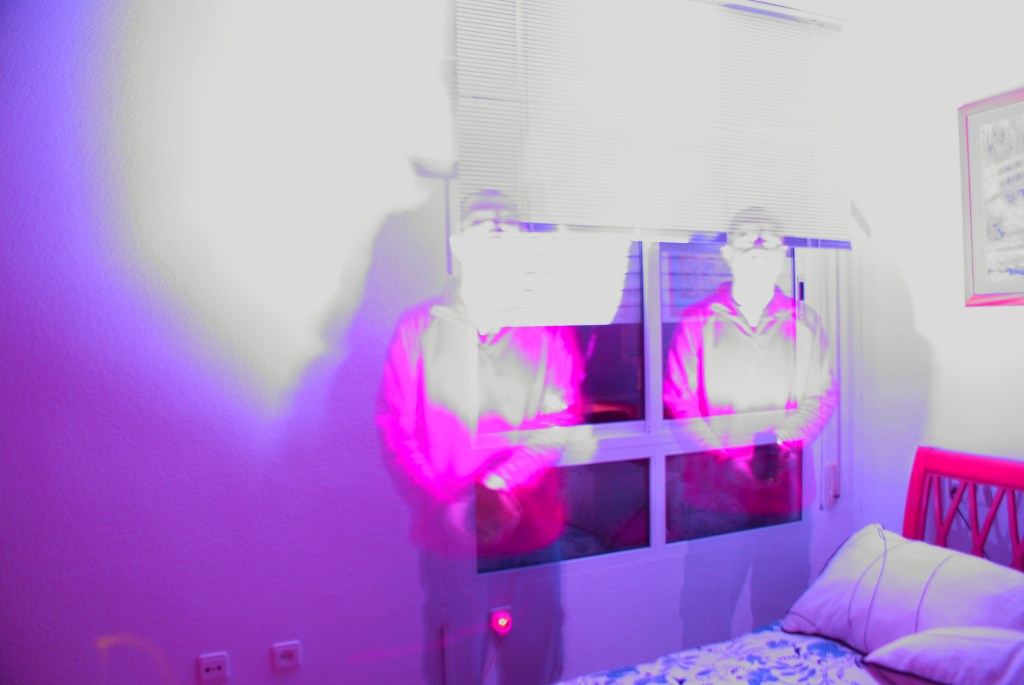 No hay cosa que haga más daño como el que la gente astuta pase por inteligente. (Francis&nbsp;Bacon)