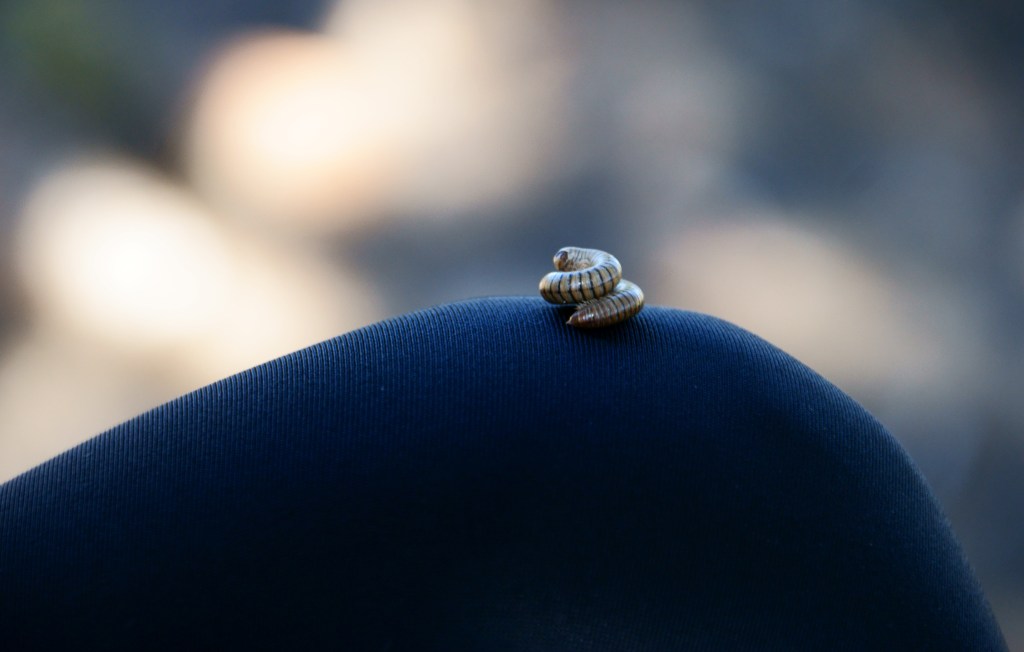 El maldito girar sobre nuestro&nbsp;espinal.