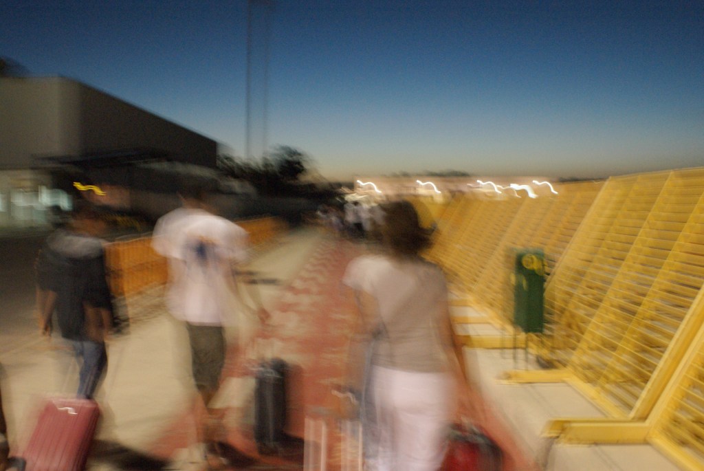 Cerdos aislados (con perdón del&nbsp;animal)