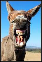 En estado de perplejidad  