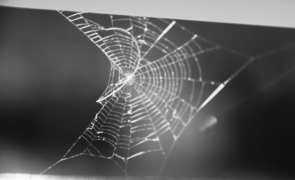 El poema se me fue de las&nbsp;manos