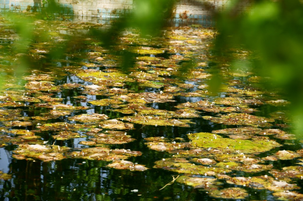 El terror de las&nbsp;pensiones