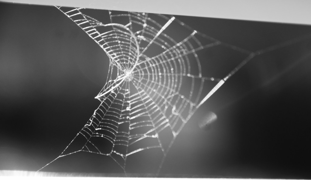 Lo peor de la&nbsp;política