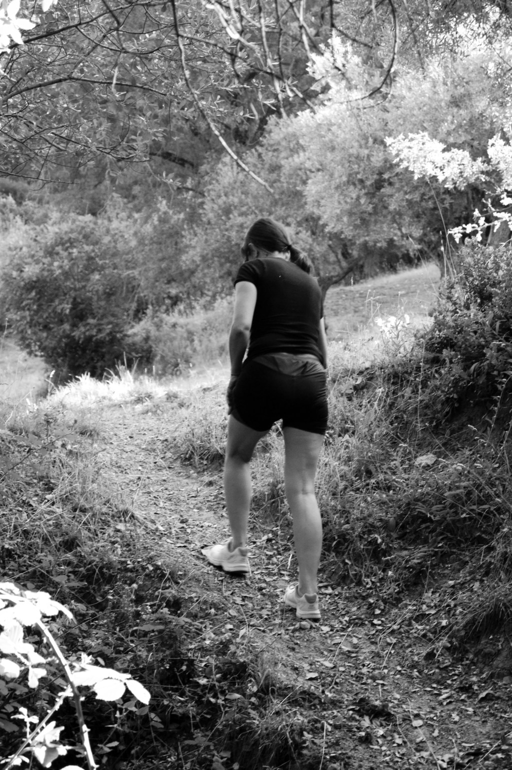 El libro que abrevia los&nbsp;nombres