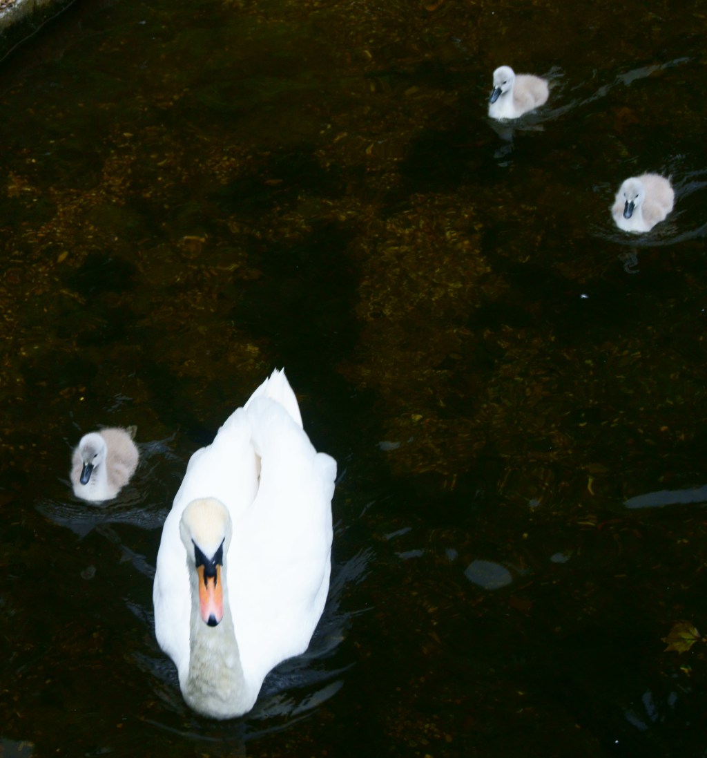 Qué complicado es seguir como si&nbsp;nada.