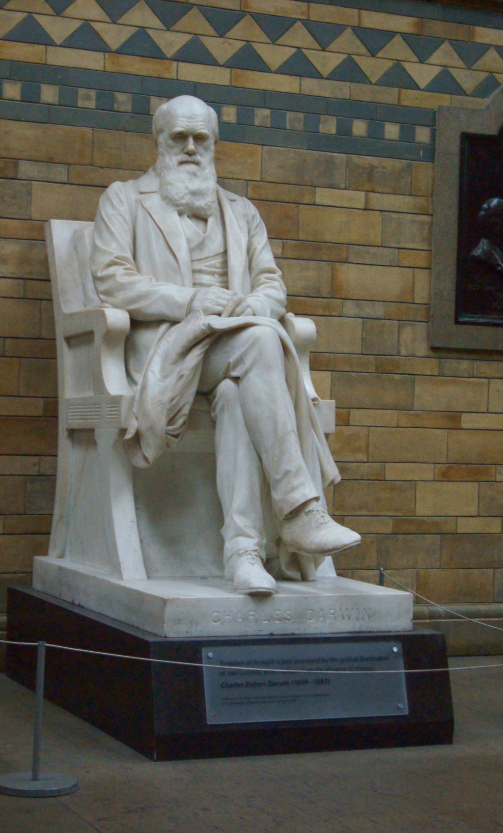 Sembrad inteligencia. Nunca está de&nbsp;más.