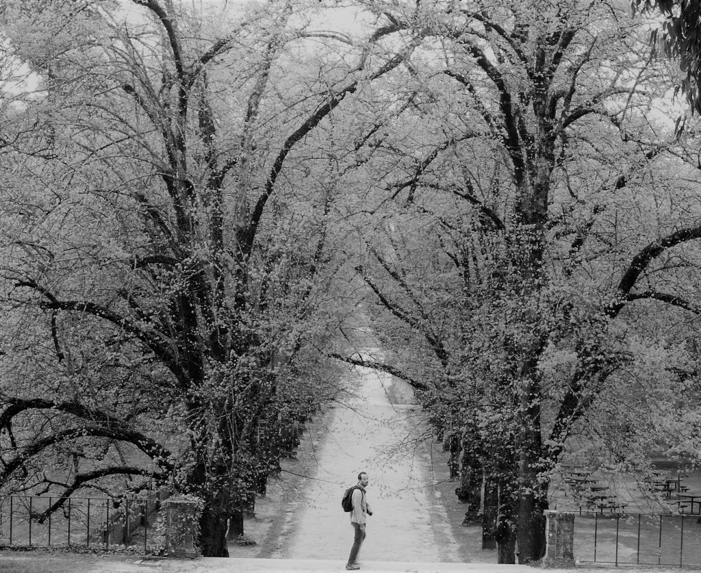 …La inmensa memoria de las cosas desconocidas (Sánchez Ferlosio en&nbsp;Alfanhuí)