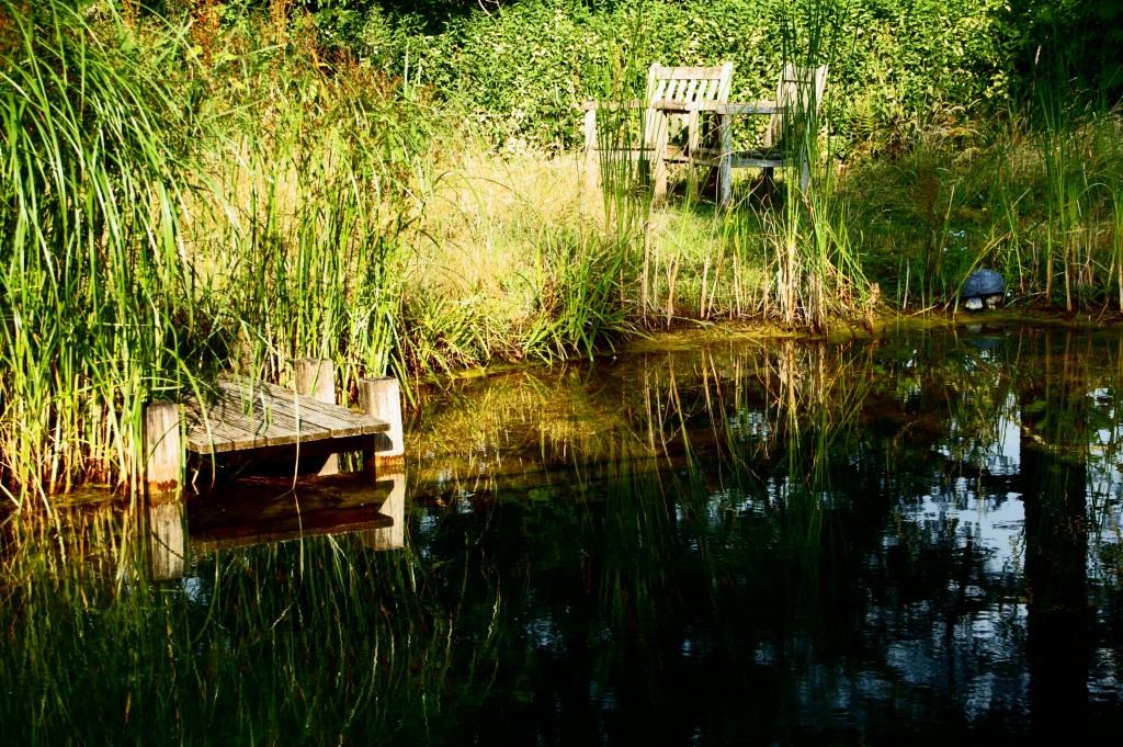 Amante del infierno&nbsp;inventado