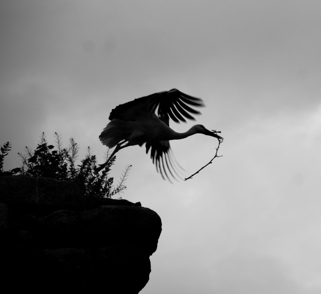 Observar desde la distancia