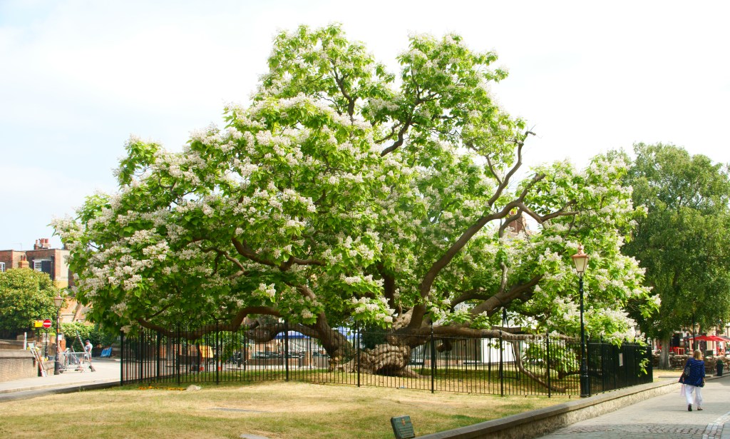 El arte es fuego que suaviza la&nbsp;vida.