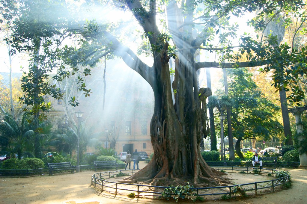 ELMALAMEN se combate con&nbsp;tenacidad.