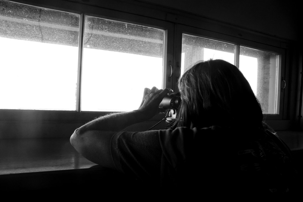 La fuerza que cambiará la&nbsp;tierra