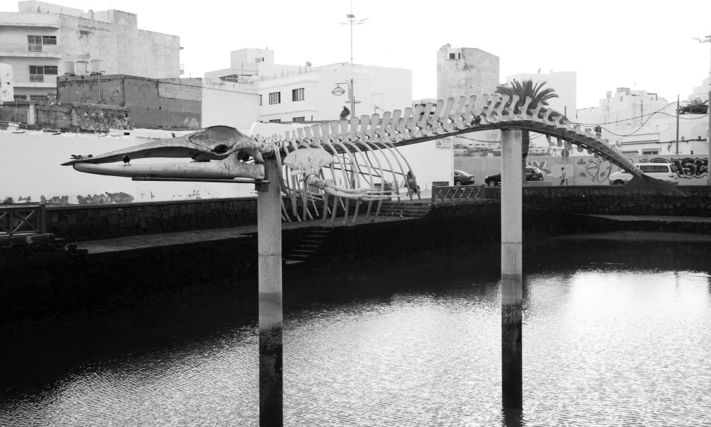 El alejarse no soluciona nada.