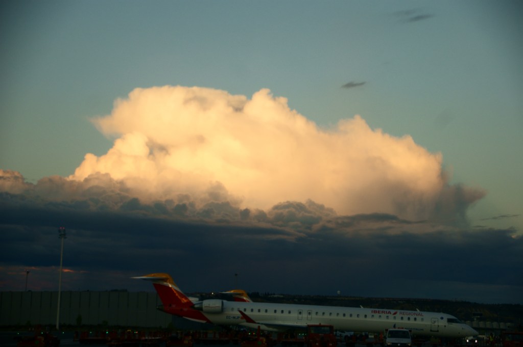 ¿Luchamos para acabar la&nbsp;lucha?
