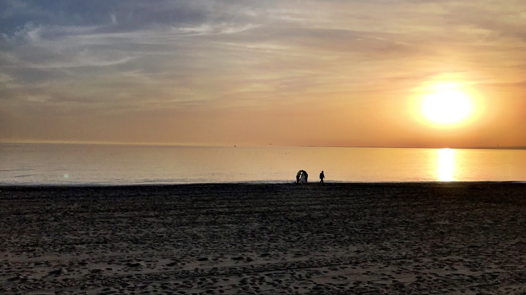 Mi opinión sobre la crisis y el&nbsp;coronavirus.