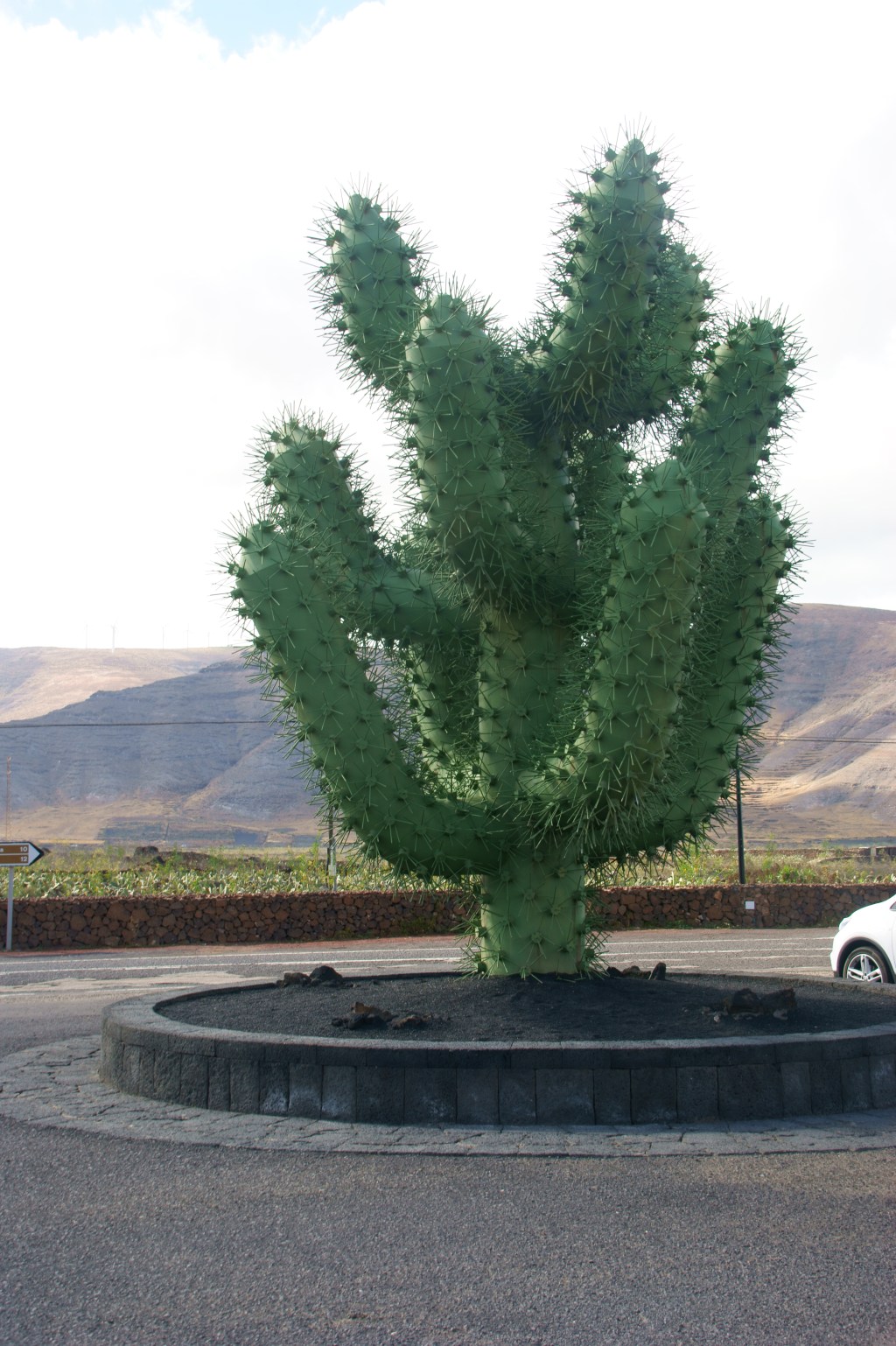 Mi fortaleza radica en mi&nbsp;debilidad.