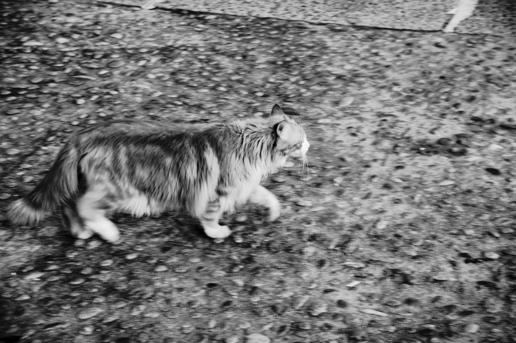 No sé ponerle&nbsp;nombre