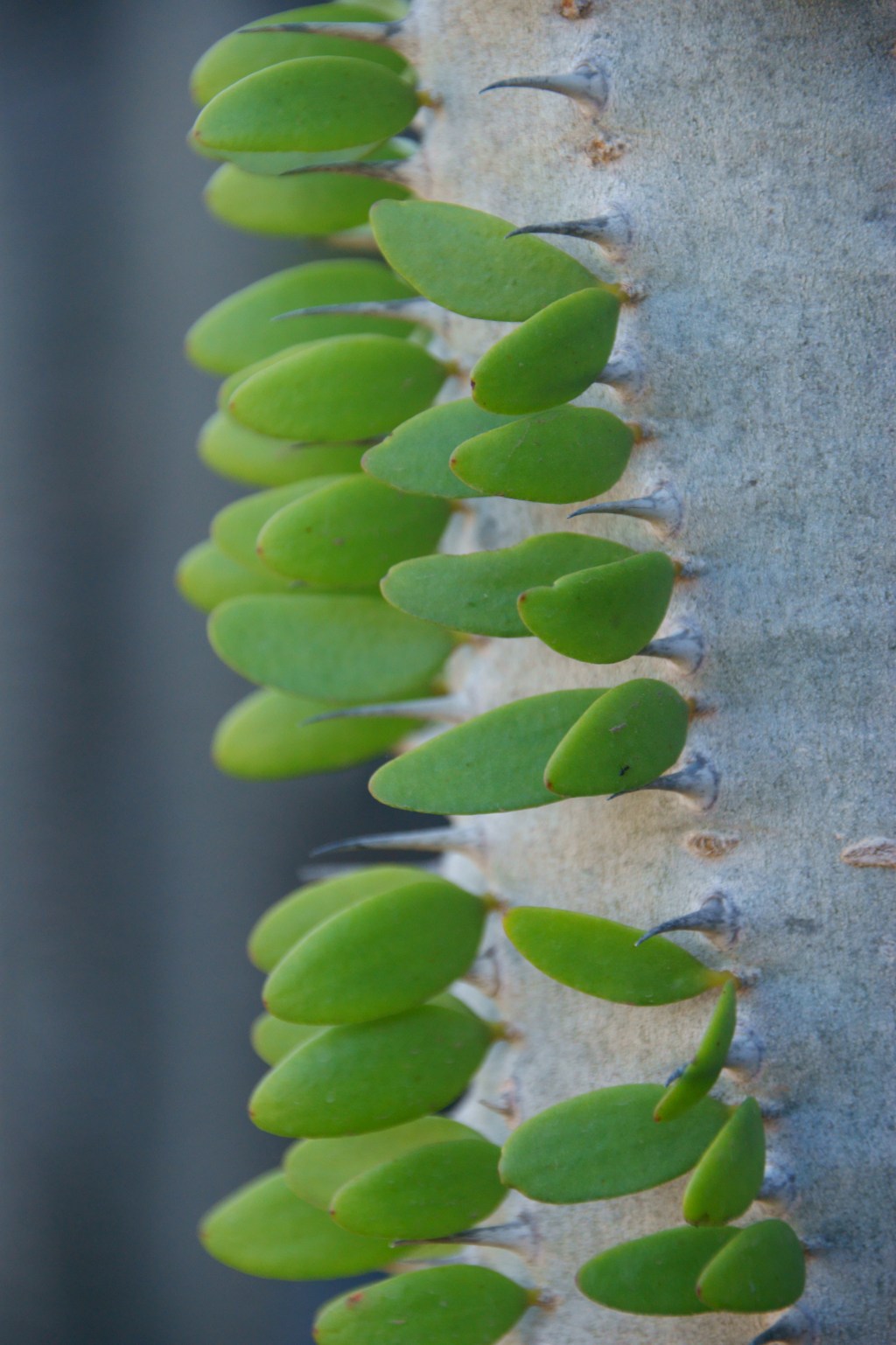 Extraviado en el laberinto de mi&nbsp;ombligo.