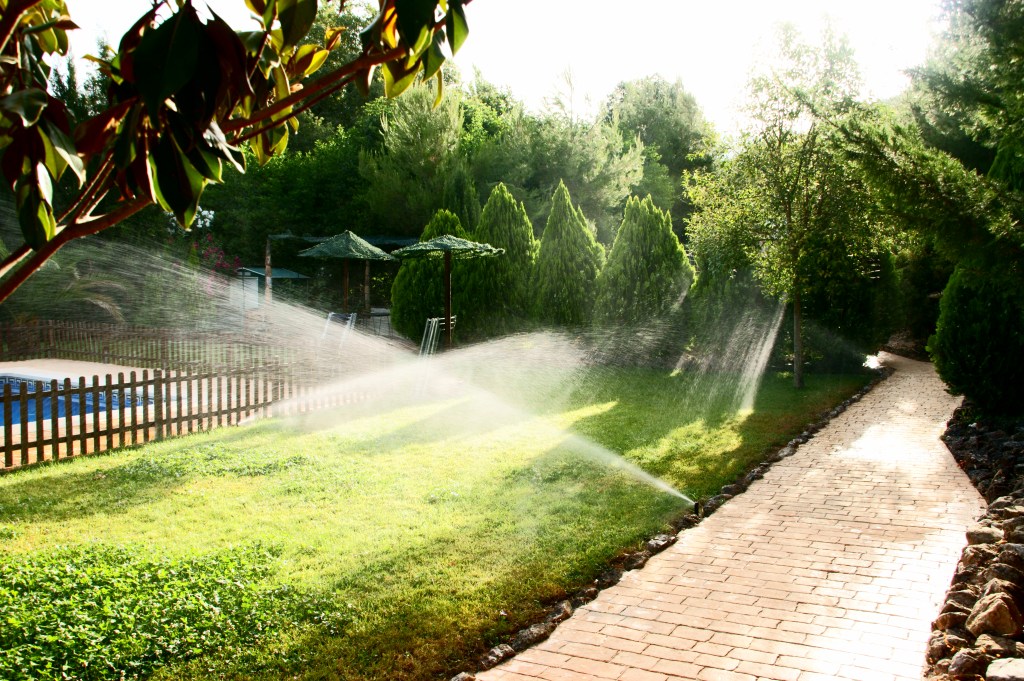 Entrada sin título 2218