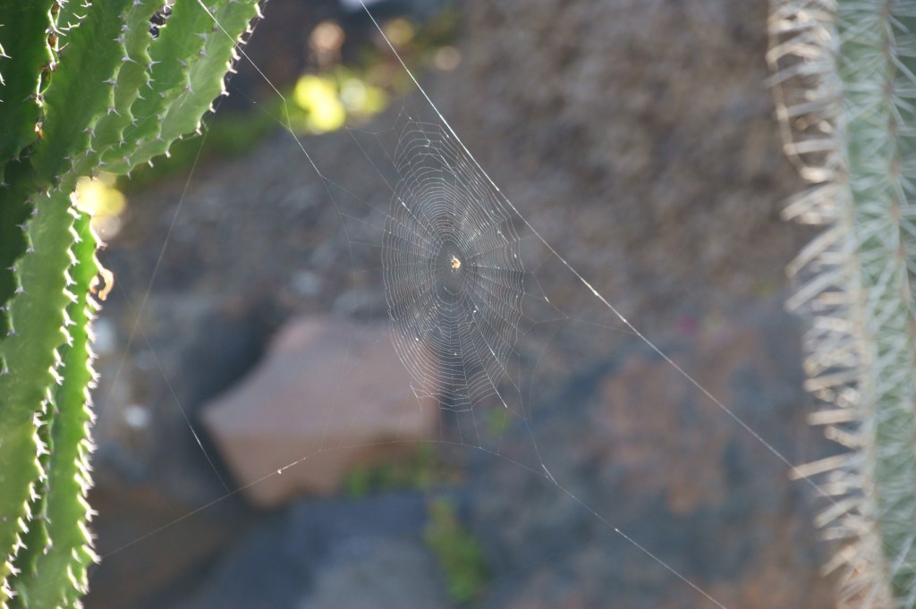 Si la justicia existe cómo hacemos para no&nbsp;encontrarla.