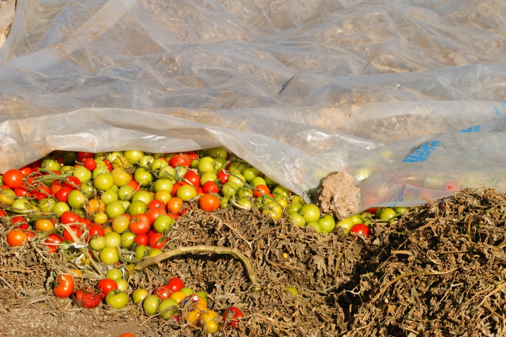 Esta catástrofe nos enseña, que no se actuará ante el cambio climático hasta que no sea&nbsp;tarde.