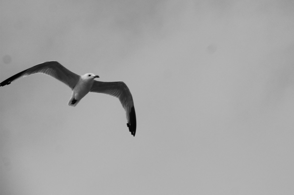 Escribo para cambiarme, y no pensar lo mismo de antes. (Michel Foucault)