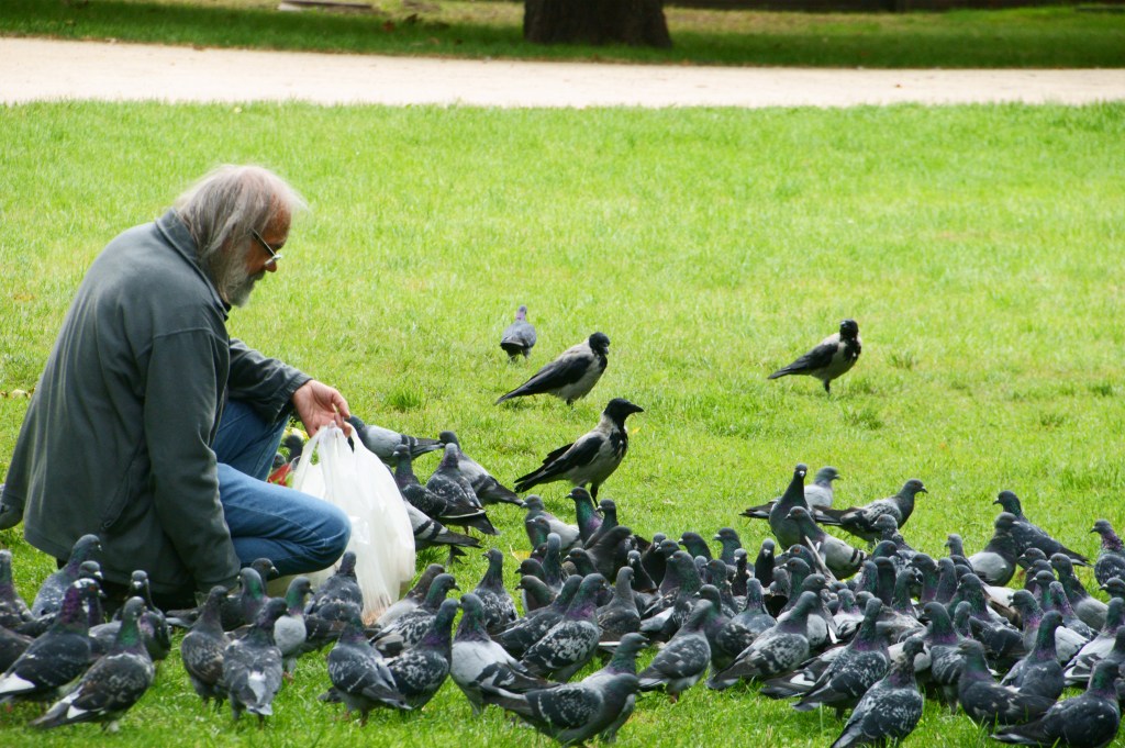 Energía Capitalista