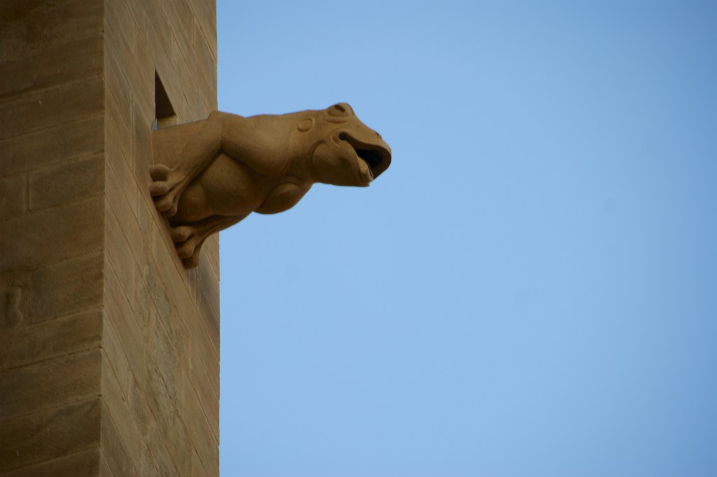 Nuestra ración de&nbsp;moscas