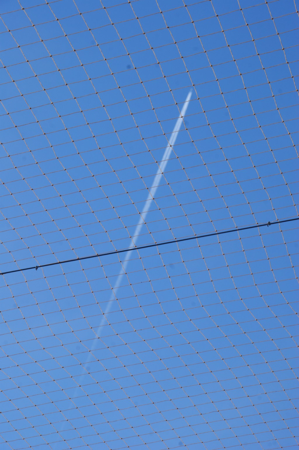 ¿Qué mentiras estarán gestando&nbsp;hoy?