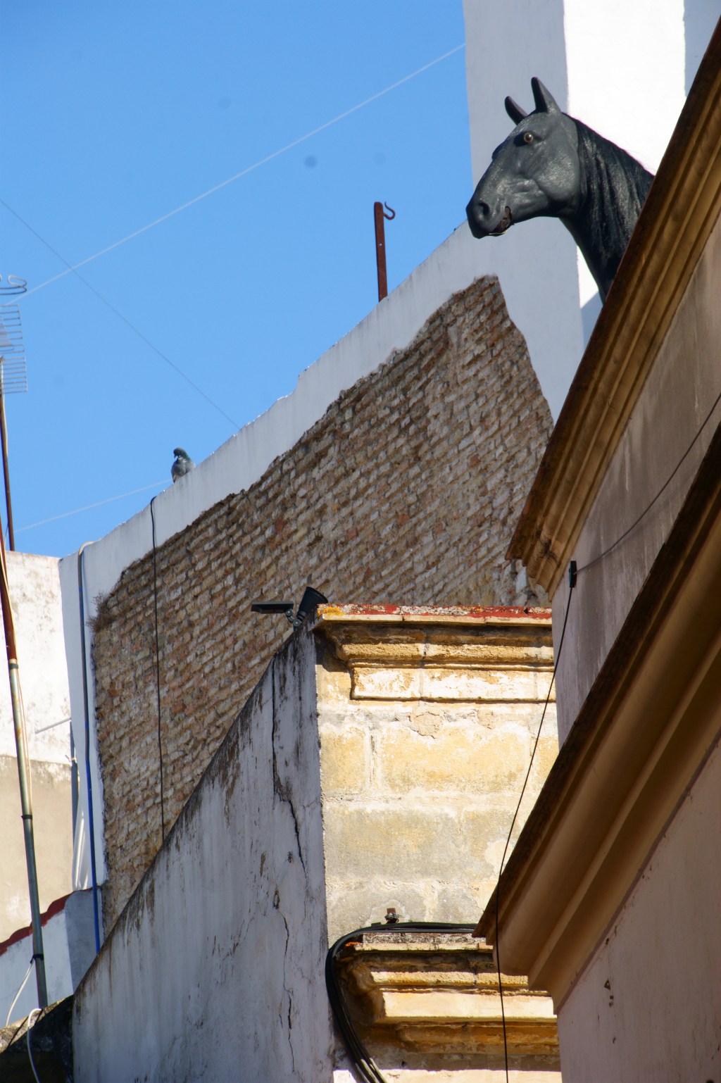 ¿Se puede comer carne respetando en vida a quien te vas a comer? Espero que&nbsp;sí.