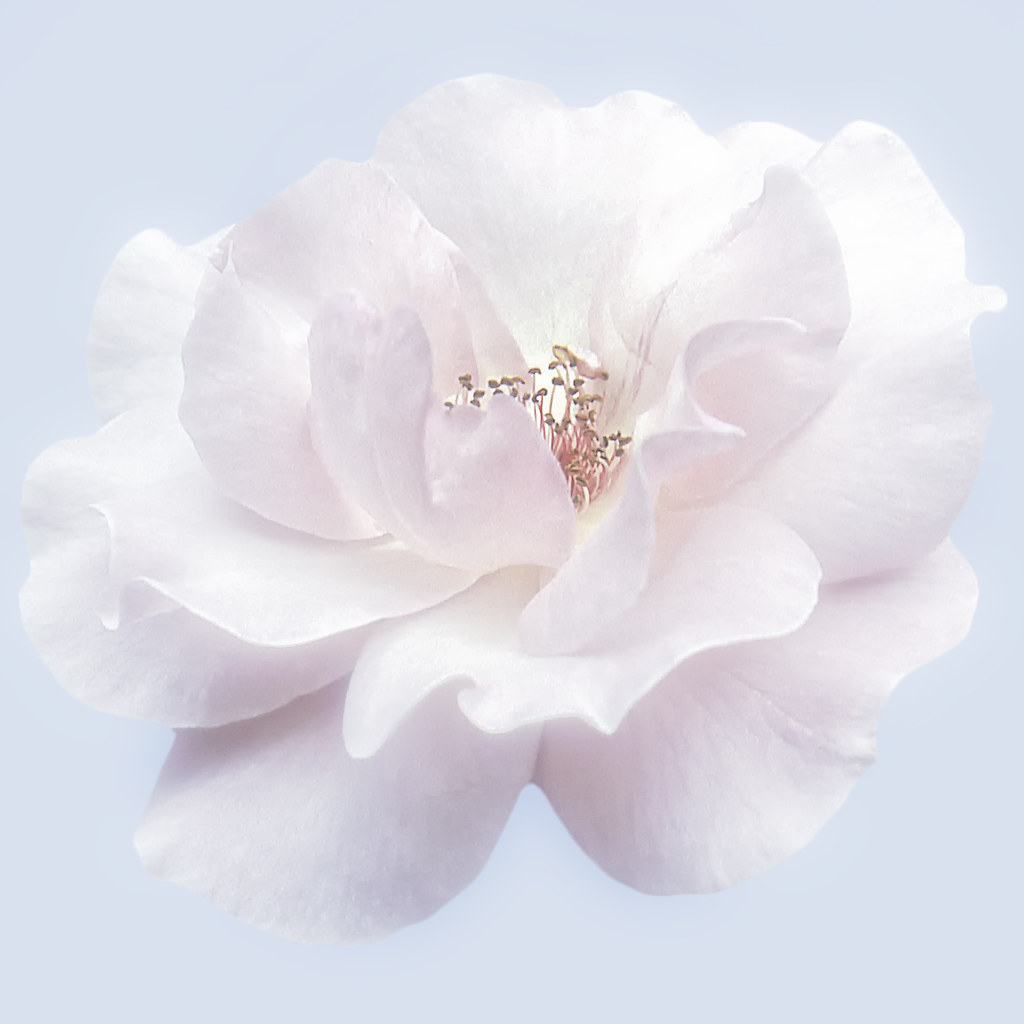 Me he despertado en un mundo muy&nbsp;triste