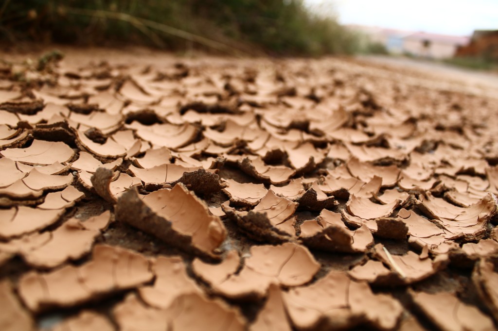 Los errores tiemblan