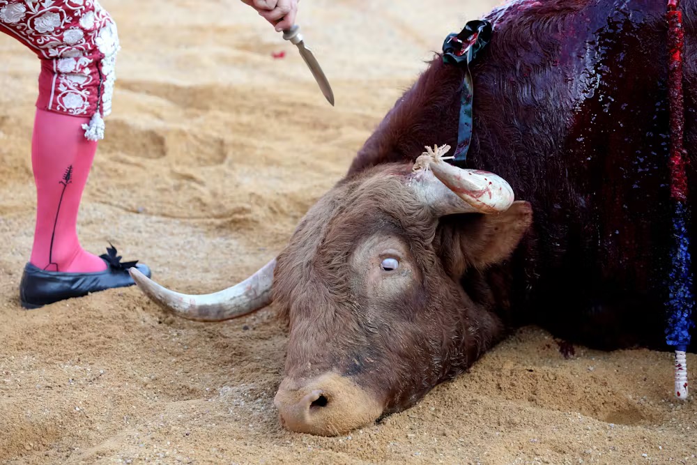 ¿Quienes son las&nbsp;bestias?