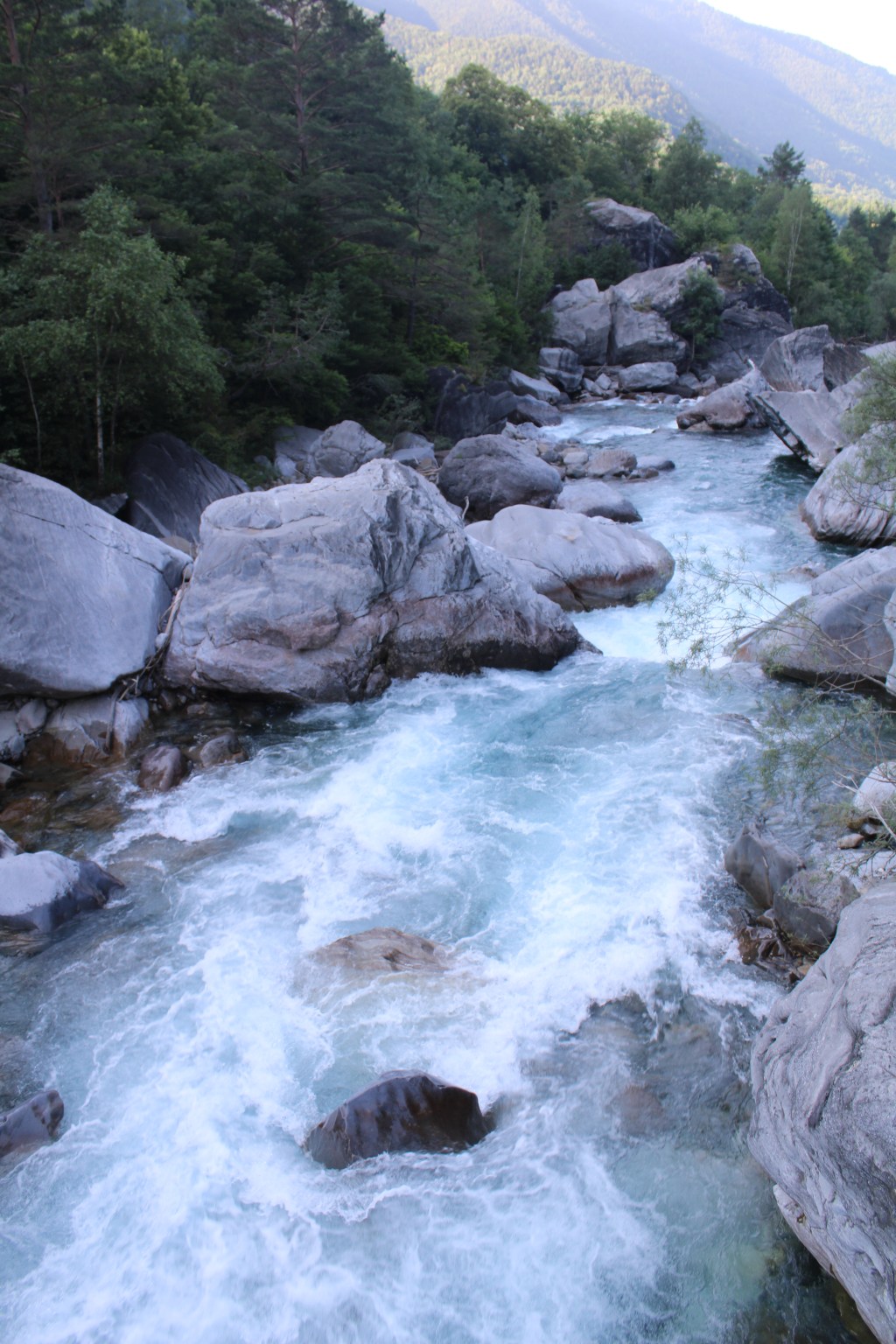 Los neurodivergentes podemos aportar una perspectiva única al mundo.