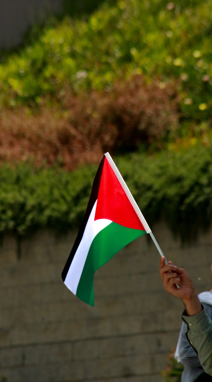 Sería un día&nbsp;feliz